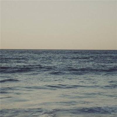 乐鱼官网手机版app下载