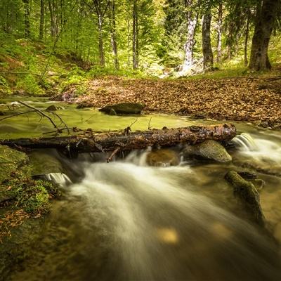 pg电子娱乐平台手机app下载